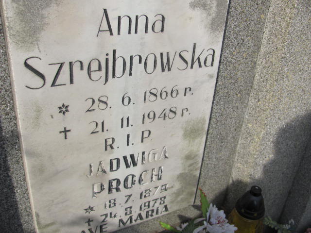 Anna Szrejbrowska 1866 Bydgoszcz - Stary Fordon - Grobonet - Wyszukiwarka osób pochowanych